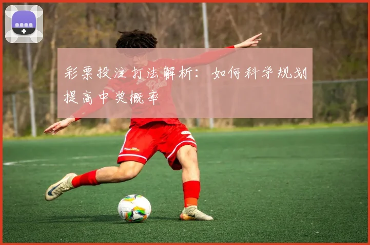 彩票投注打法解析：如何科学规划提高中奖概率