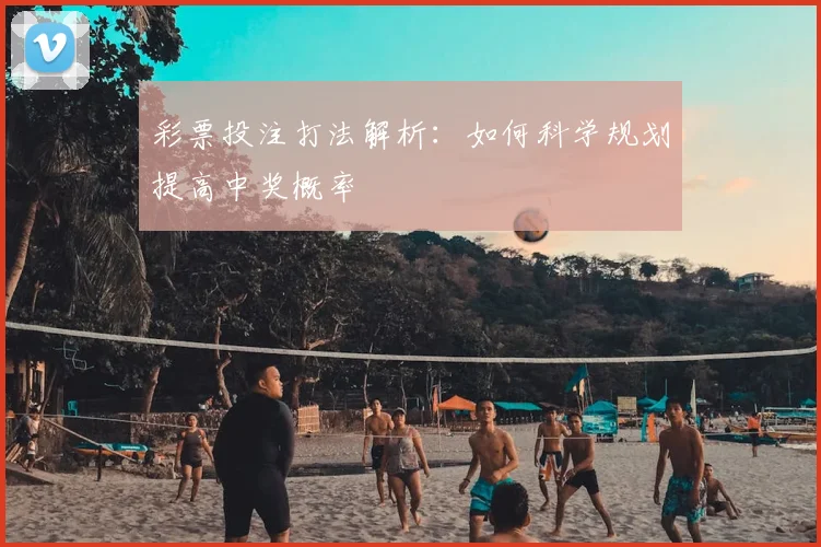 彩票投注打法解析：如何科学规划提高中奖概率